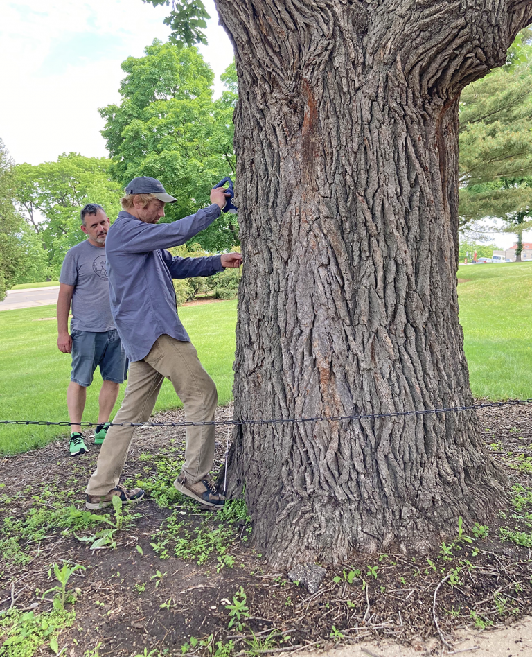 Participate in the Dane County Heritage Oaks Project State