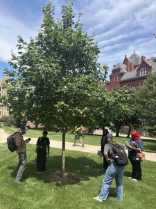 Students and mentors collecting field data on the UW-Madison campus